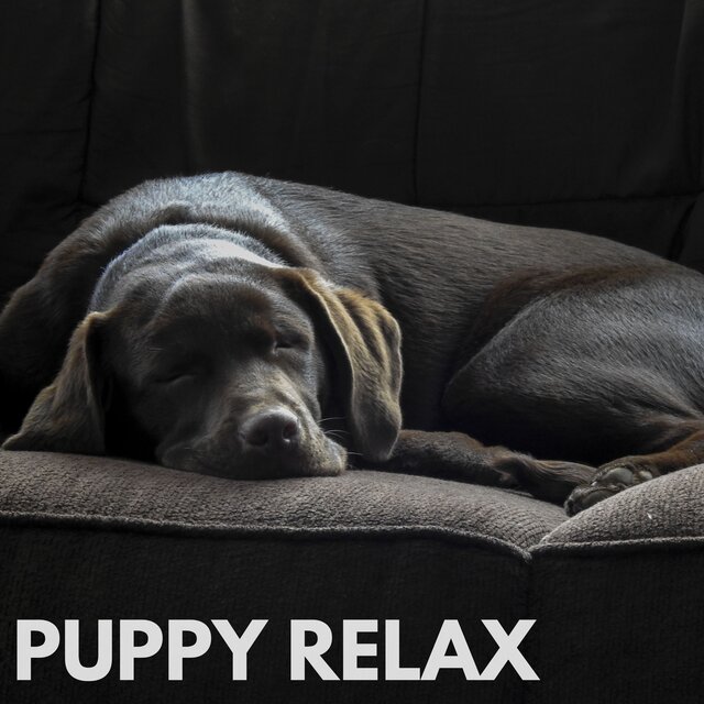 Puppy Relax