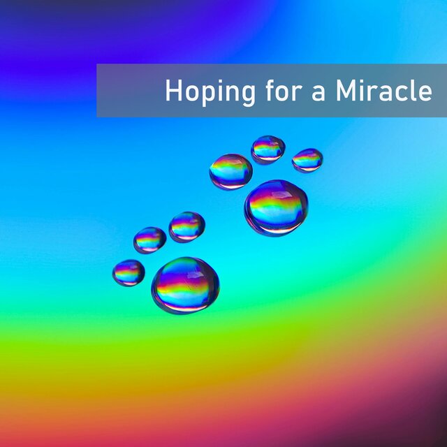 Hoping for a Miracle