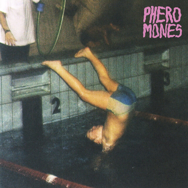Pheromones