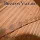 Cover art for album Meditations on Entropy by Brandon Vaccaro