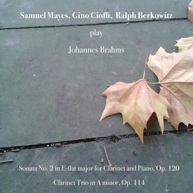 Johannes Brahms: Sonata No. 2 in E-Flat Major for Clarinet and Piano, Op. 120 - Clarinet Trio in A Minor, Op. 114