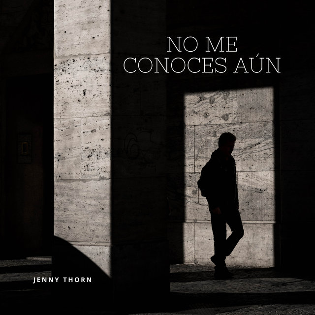 No Me Conoces Aun
