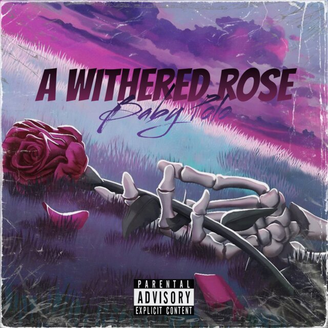 a withered rose