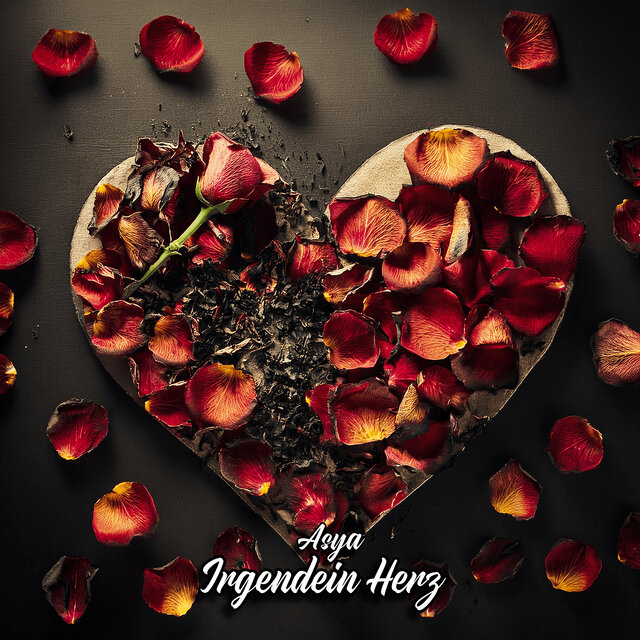 Irgendein Herz