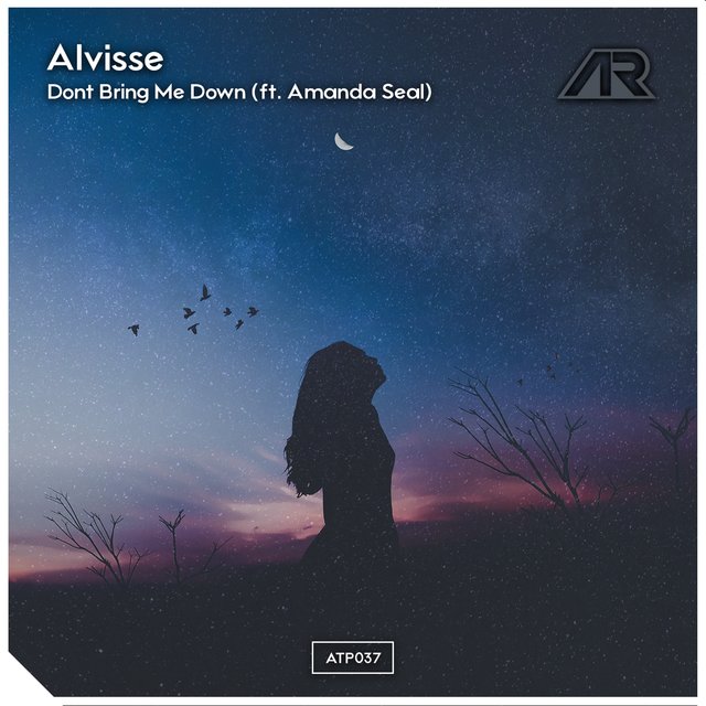 Don't Bring Me Down (feat. Amanda Seal)