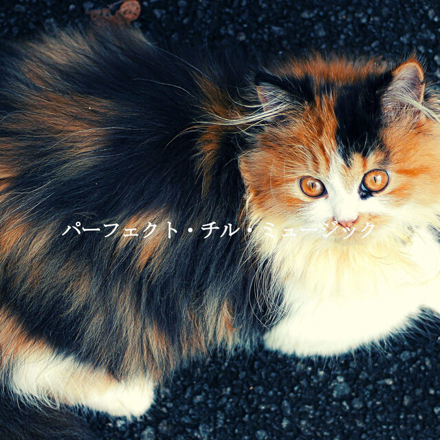 パーフェクト・チル・ミュージック