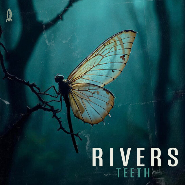 Teeth
