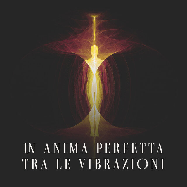Un Anima Perfetta Tra Le Vibrazioni