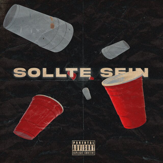 Sollte sein (feat. TRACE)
