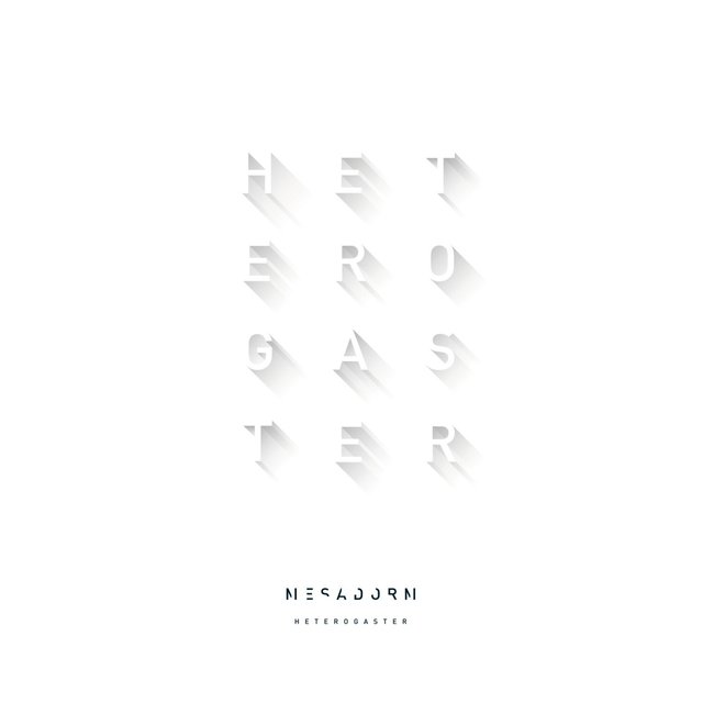 Heterogaster