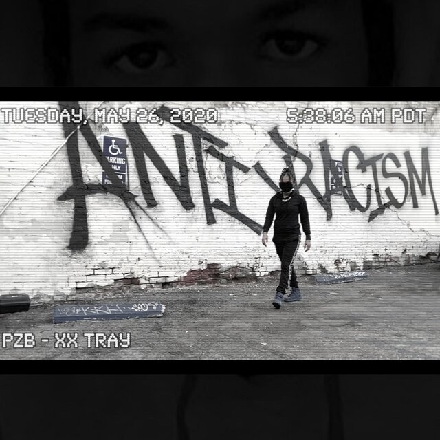 Cover art for album The Unheard by PZB