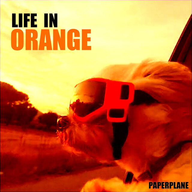 Life In Orange