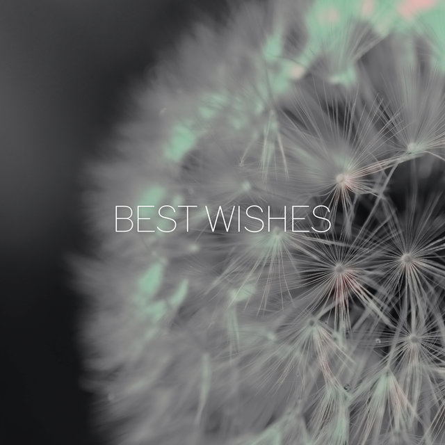 Best Wishes