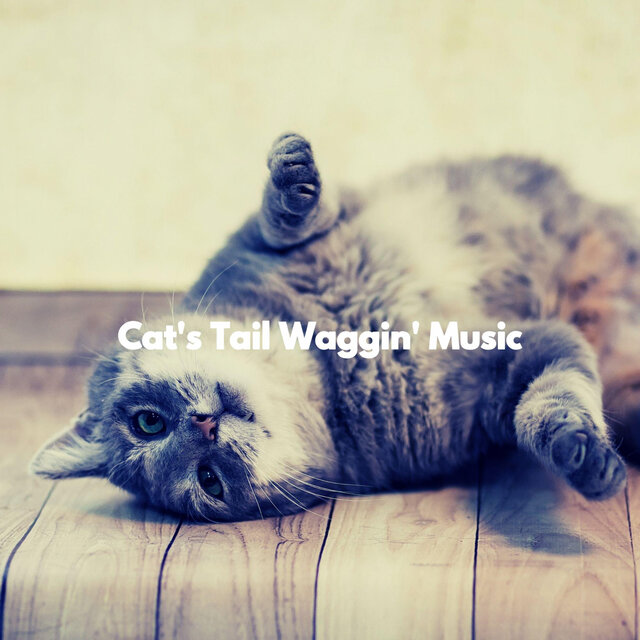 Cat's Tail Waggin' Music