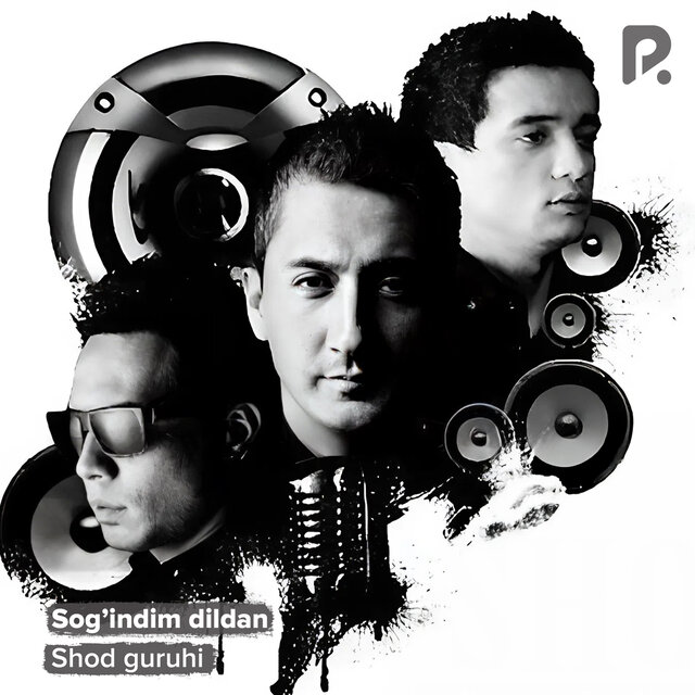 Sog'indim dildan