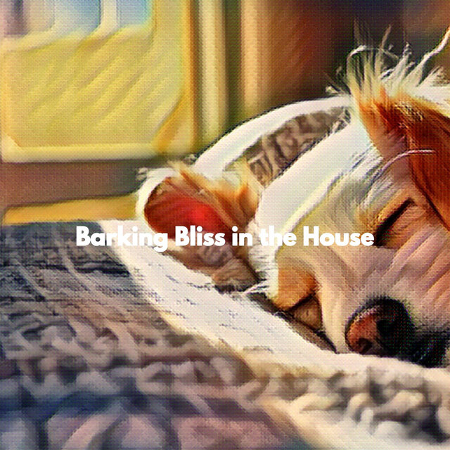 Barking Bliss in the House