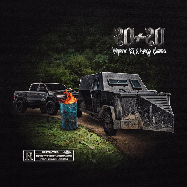 20+20