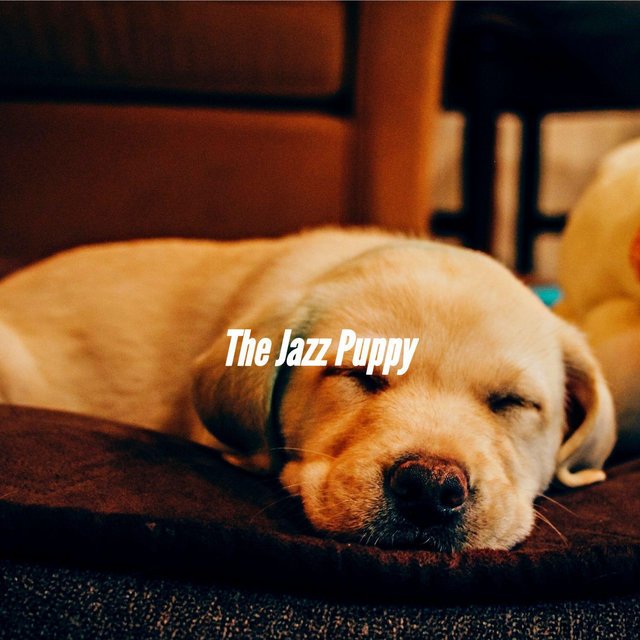 The Jazz Puppy