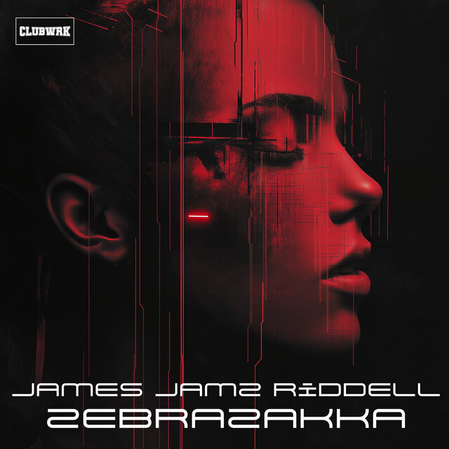ZebraZakka