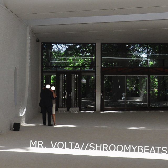 Shroomybeats
