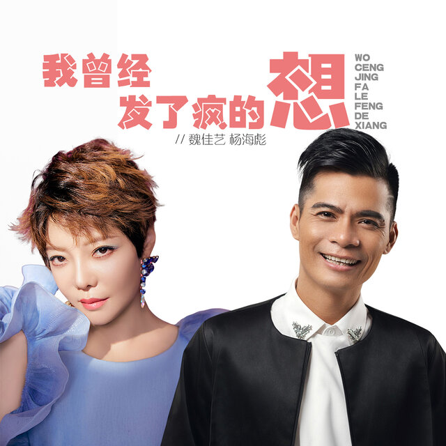 我曾经发了疯的想 (国粤对唱dj默涵版)