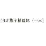 教子-第1面
