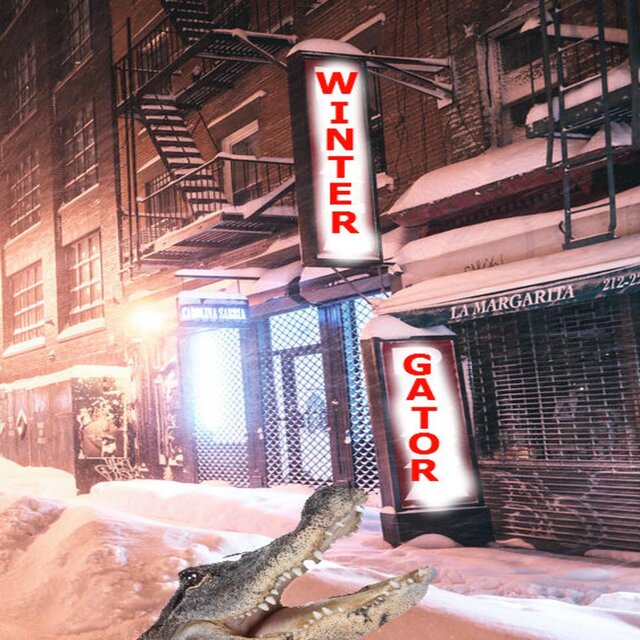 Winter Gator