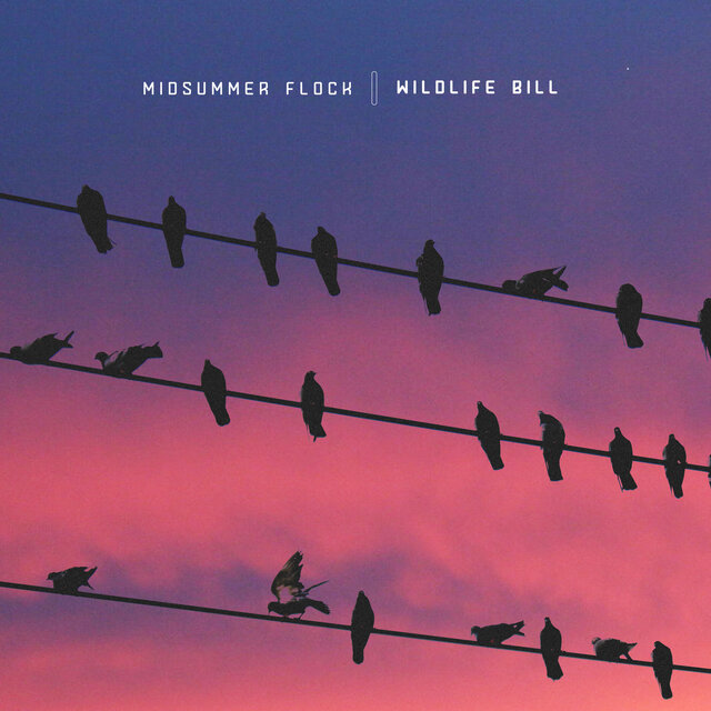 Midsummer Flock