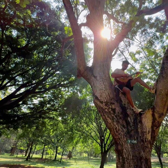 Cubbon Park