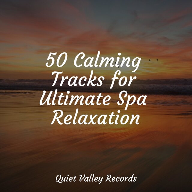 50 Calming Tracks for Ultimate Spa Relaxation