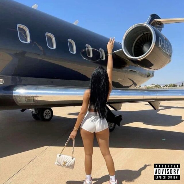 FLY HOME