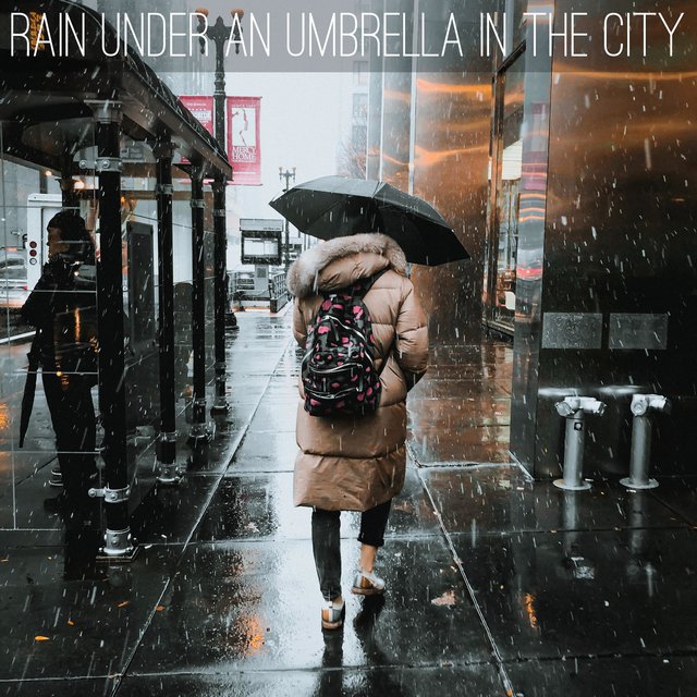 Rain Under an Umbrella in the City