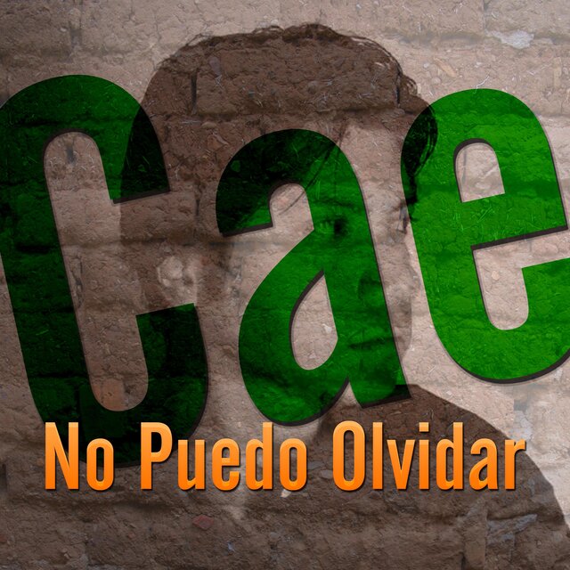 No Puedo Olvidar (Radio Edit)