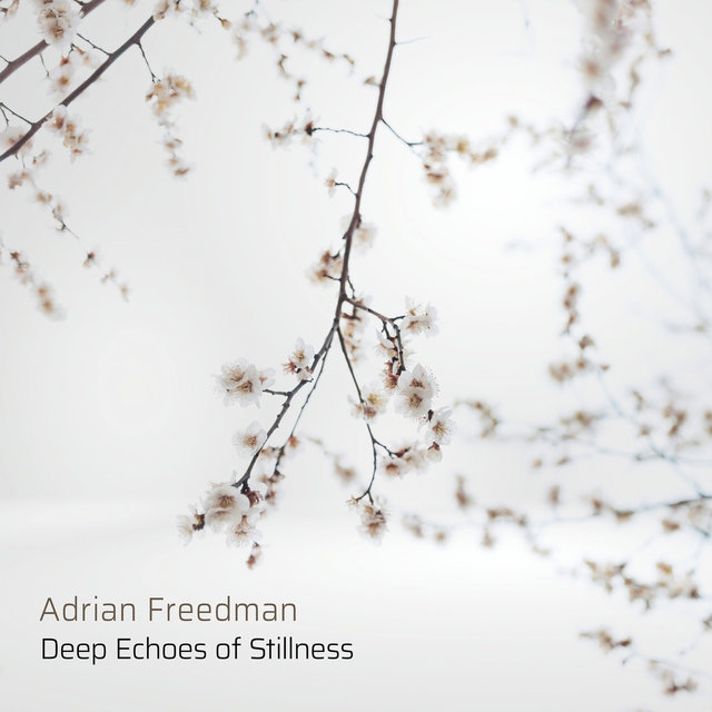 Deep Echoes of Stillness