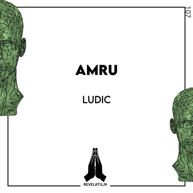 Ludic
