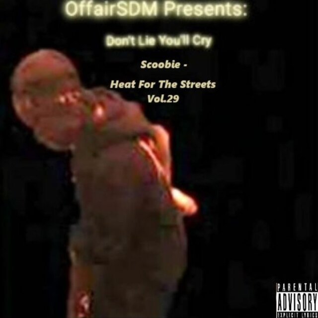 Heat For The Streets, Vol. 29 (Don't Lie You'll Cry)