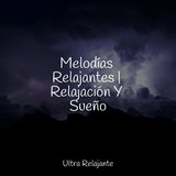 Naturaleza Electrónica