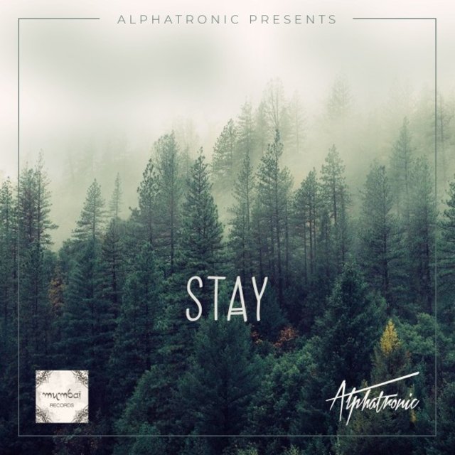 Stay (Radio Edit)