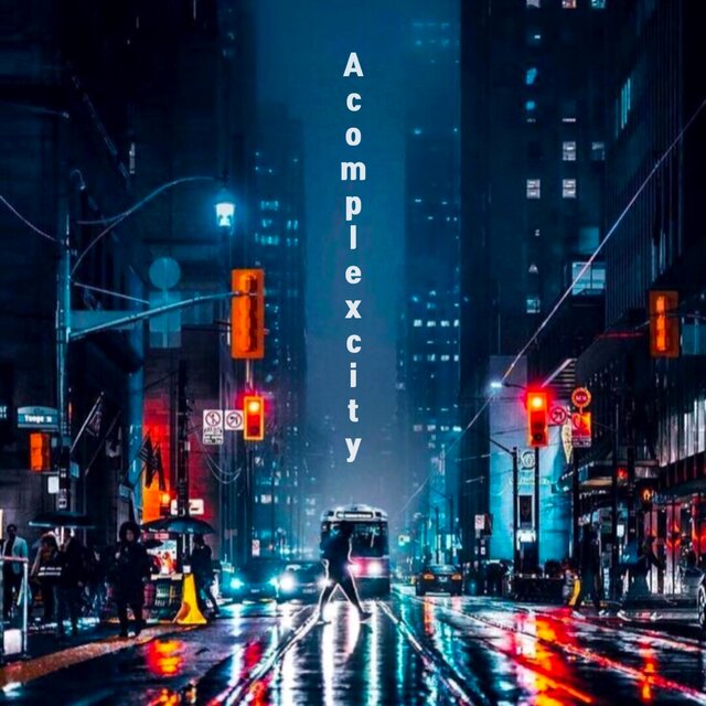 A complex city