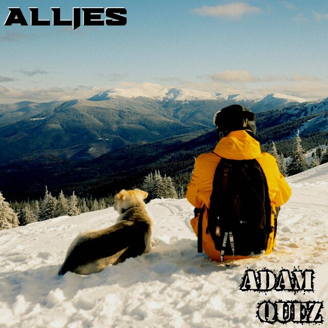 Allies