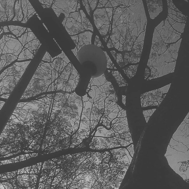 Tres sonidos de invierno.
