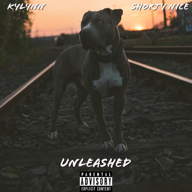 UNLEASHED