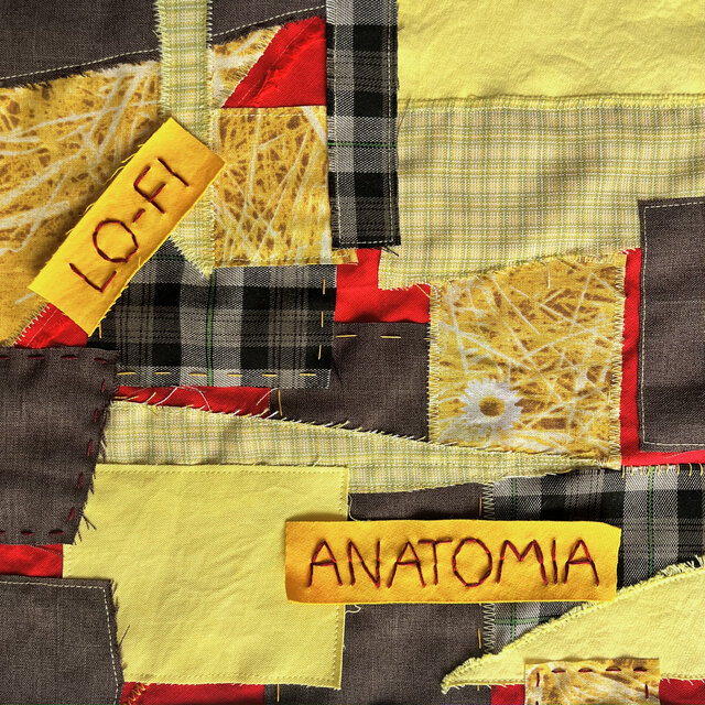 Lo-Fi Anatomia