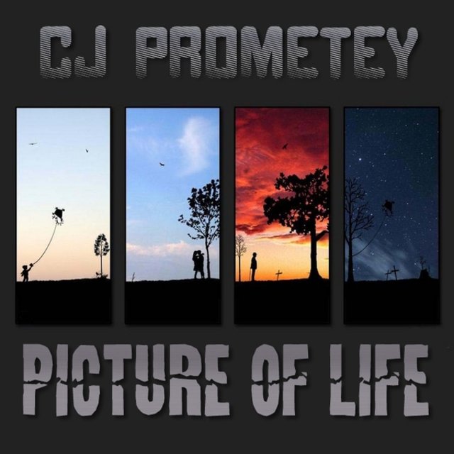 Picture of Life