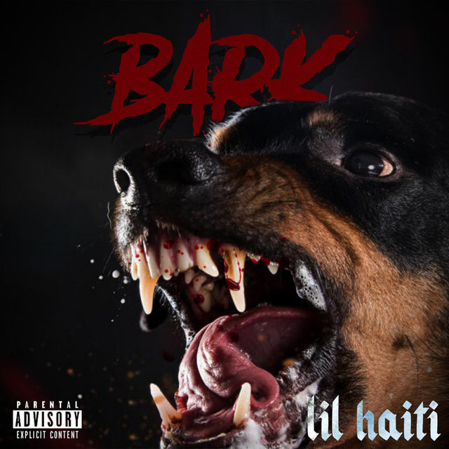 Bark