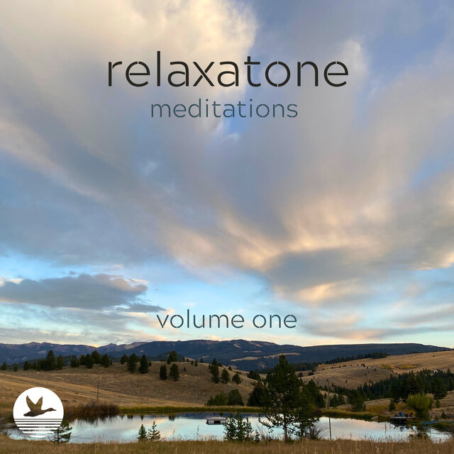 Meditations Volume One