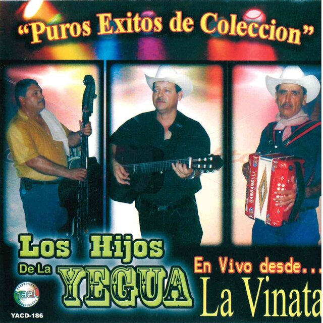 Puros Exitos de Coleccion , En Vivo Desde La Vinata
