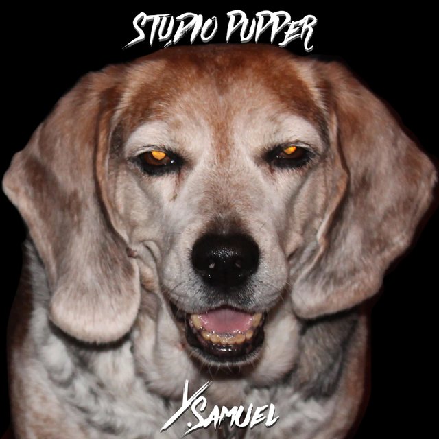 Studio Pupper