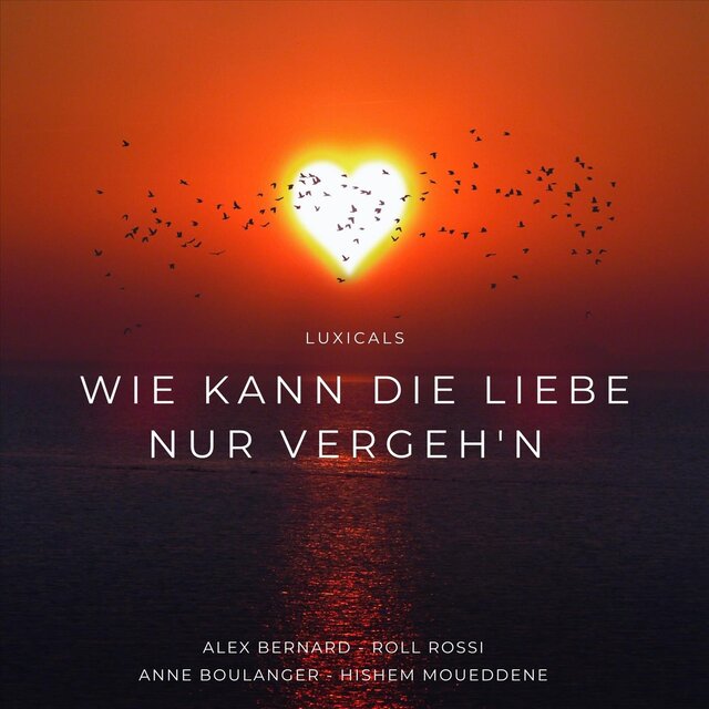 Wie kann die Liebe nur vergeh'n