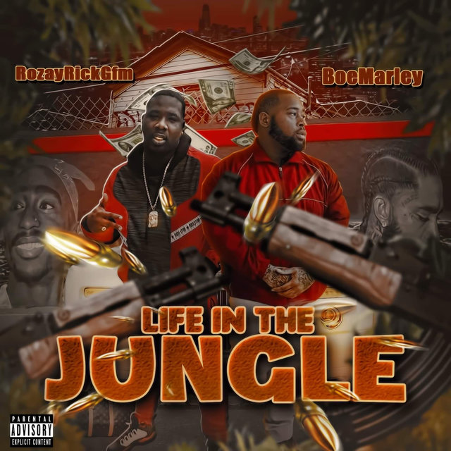 Life in the Jungle